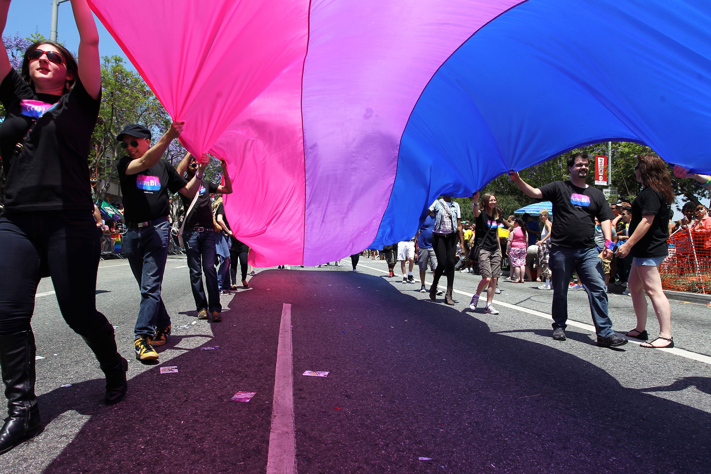 Bisexual History Pride